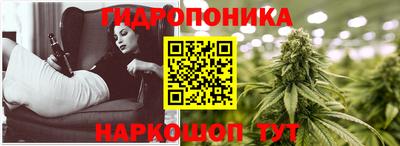 ешки Аргун